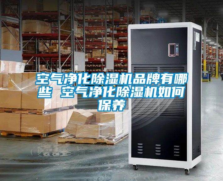 空氣淨化91视频链接下载品牌有哪些 空氣淨化91视频链接下载如何保養