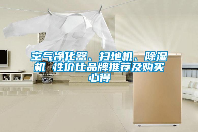 空氣淨化器、掃地機、91视频链接下载 性價比品牌推薦及購買心得
