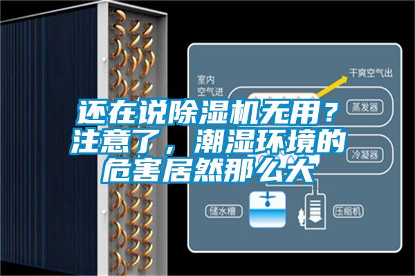 還在說91视频链接下载無用？注意了，潮濕環境的危害居然那麽大