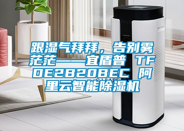 跟濕氣拜拜，告別霧茫茫——宜盾普 TFDE2B20BEC 阿裏雲智能91视频链接下载