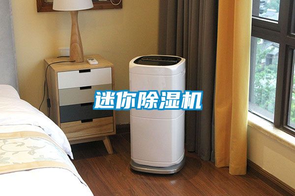 迷你91视频链接下载