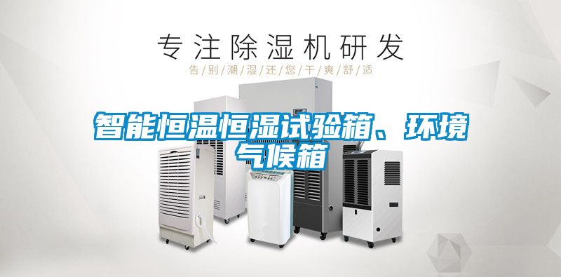 智能恒溫恒濕試驗箱、環境氣候箱