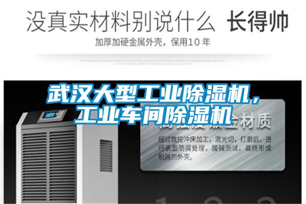 武漢大型工業91视频链接下载，工業車間91视频链接下载