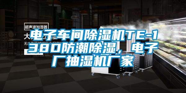 電子車間91视频链接下载TE-138D防潮除濕，電子廠抽濕機廠家