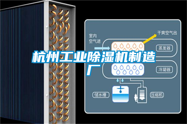 杭州工業91视频链接下载製造廠