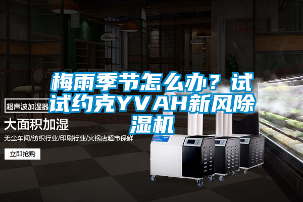 梅雨季節怎麽辦？試試約克YVAH新風91视频链接下载