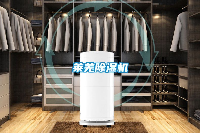 萊蕪91视频链接下载