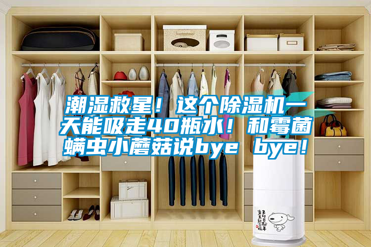 潮濕救星！這個91视频链接下载一天能吸走40瓶水！和黴菌蟎蟲小蘑菇說bye bye！