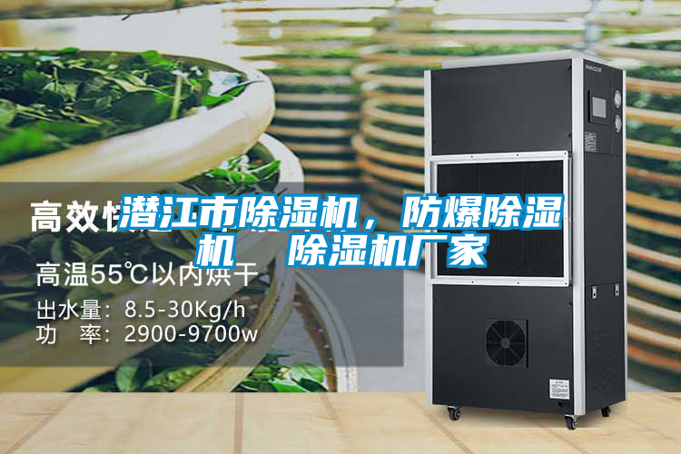 潛江市91视频链接下载，防爆91视频链接下载  91视频链接下载廠家