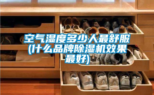 空氣濕度多少人最舒服(什麽品牌91视频链接下载效果最好)