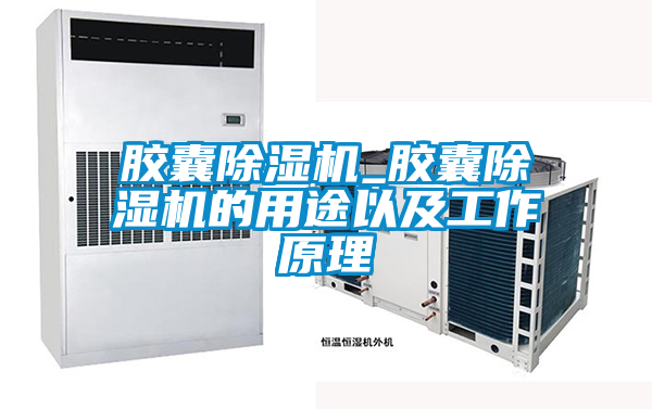 膠囊91视频链接下载_膠囊91视频链接下载的用途以及工作原理