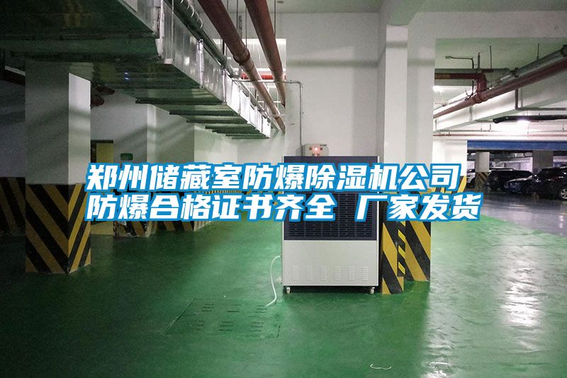 鄭州儲藏室防爆91视频链接下载公司 防爆合格證書齊全 廠家發貨