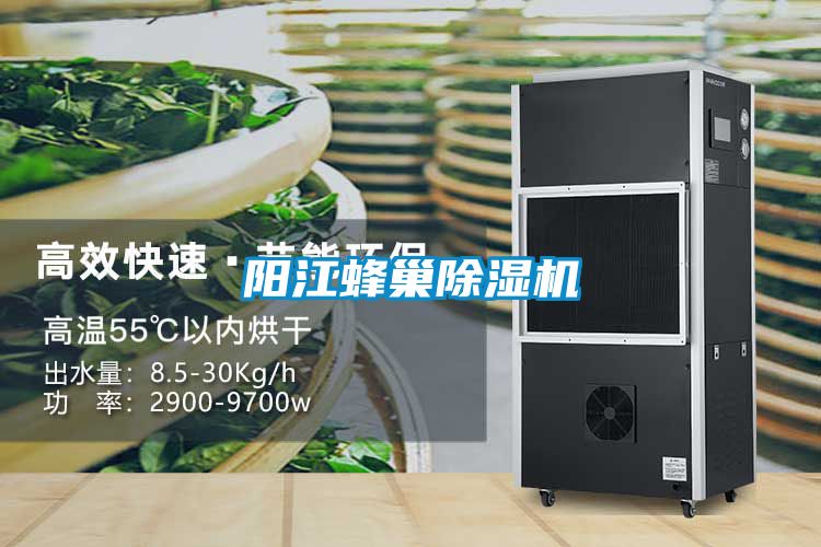 陽江蜂巢91视频链接下载