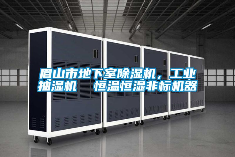 眉山市地下室91视频链接下载，工業抽濕機  恒溫恒濕非標機器
