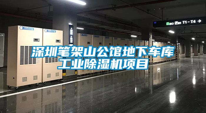 深圳筆架山公館地下車庫工業91视频链接下载項目