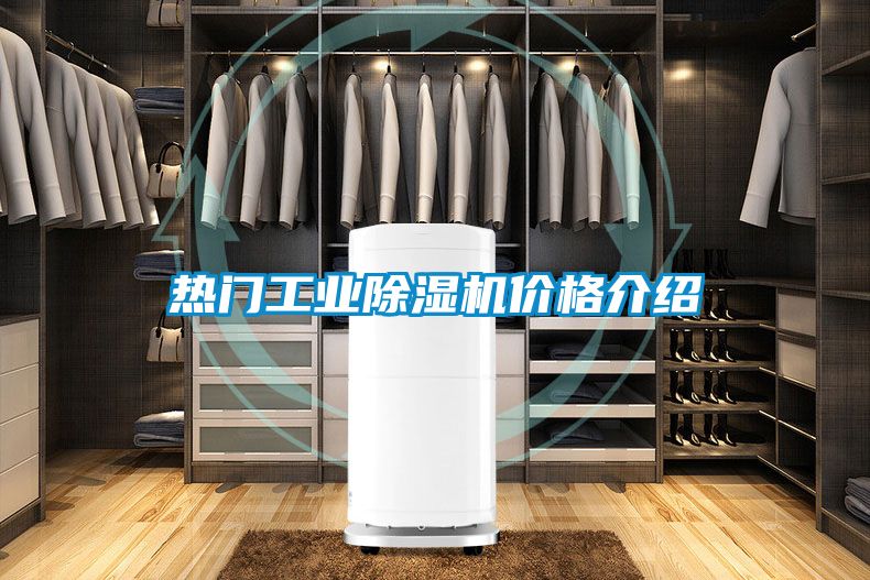 熱門工業91视频链接下载價格介紹