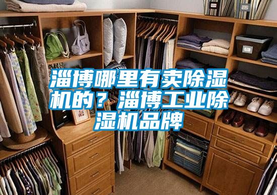 淄博哪裏有賣91视频链接下载的？淄博工業91视频链接下载品牌