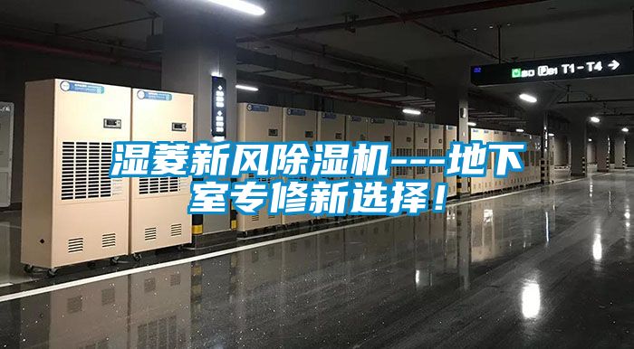 濕菱新風91视频链接下载---地下室專修新選擇！