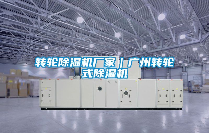 轉輪91视频链接下载廠家｜廣州轉輪式91视频链接下载