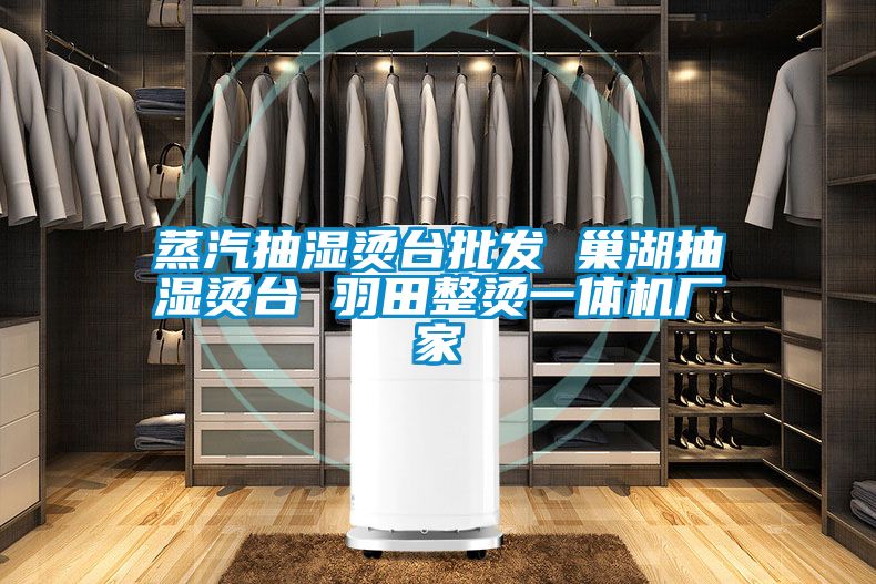 蒸汽抽濕燙台批發 巢湖抽濕燙台 羽田整燙一體機廠家