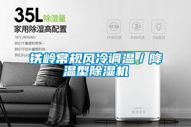 鐵嶺常規風冷調溫/降溫型91视频链接下载