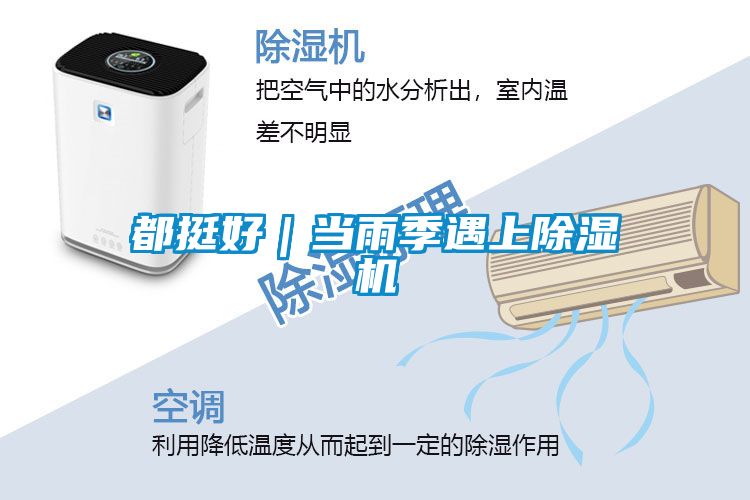 都挺好|當雨季遇上91视频链接下载