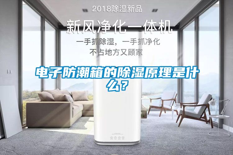 電子防潮箱的除濕原理是什麽？