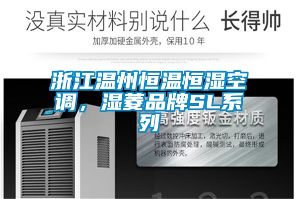 浙江溫州恒溫恒濕空調，濕菱品牌SL係列