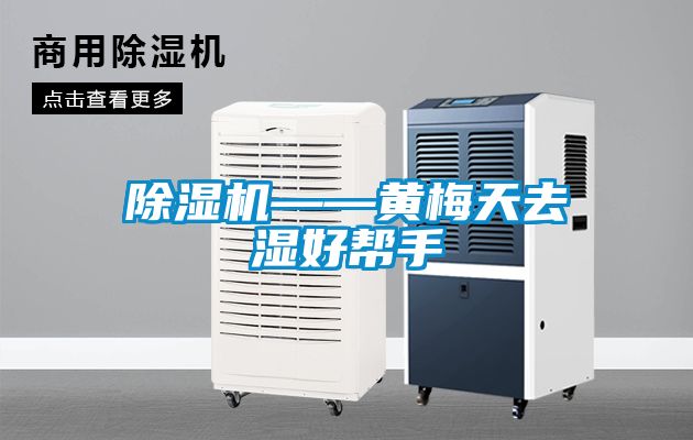 91视频链接下载——黃梅天去濕好幫手