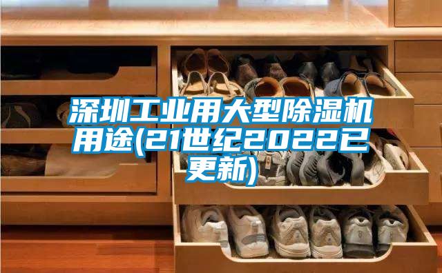 深圳工業用大型91视频链接下载用途(21世紀2022已更新)