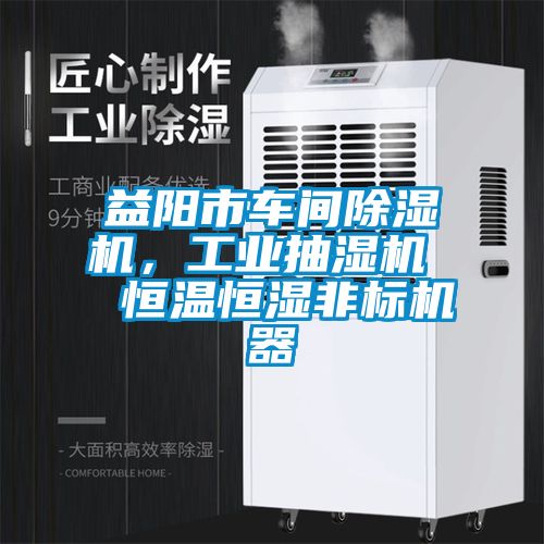 益陽市車間91视频链接下载，工業抽濕機  恒溫恒濕非標機器