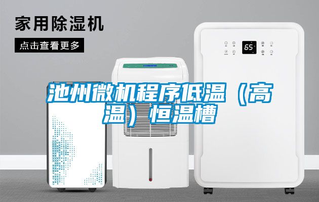 池州微機程序低溫(高溫)恒溫槽