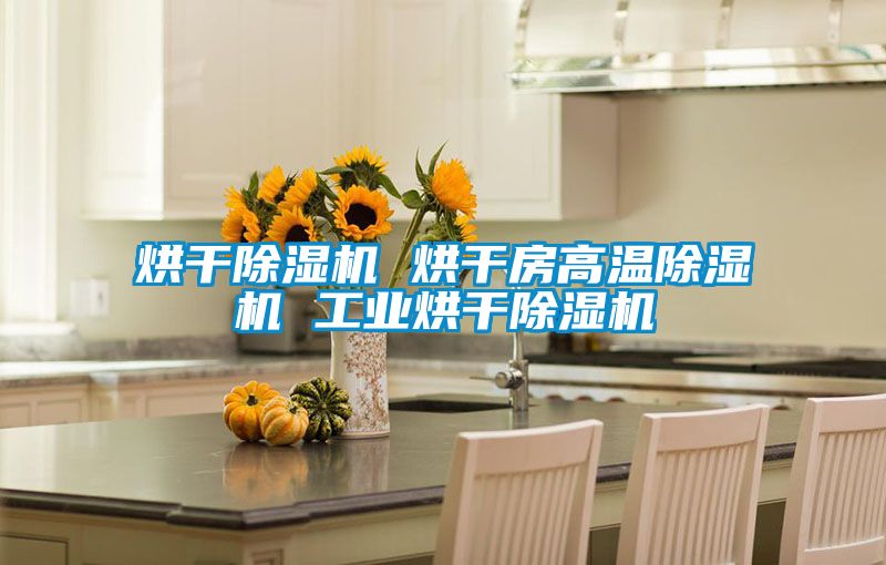 烘幹91视频链接下载 烘幹房高溫91视频链接下载 工業烘幹91视频链接下载