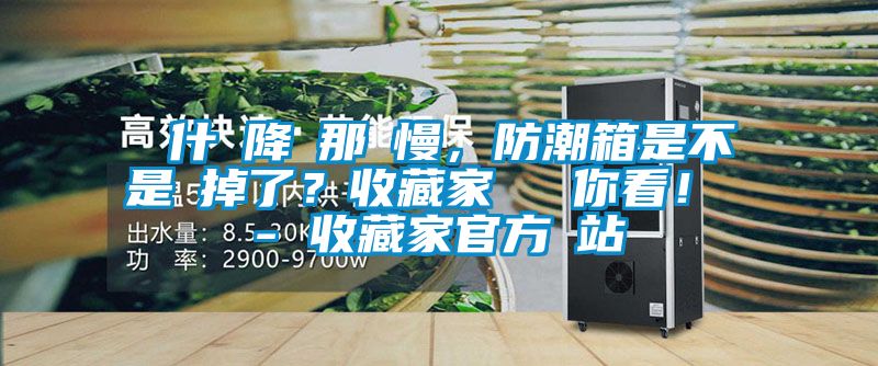 為什麼降濕那麼慢，防潮箱是不是壞掉了？收藏家實測給你看！ - 收藏家官方網站