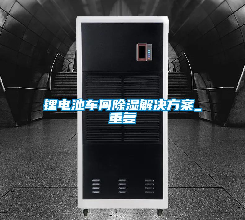 鋰電池車間除濕黄91视频免费看_重複