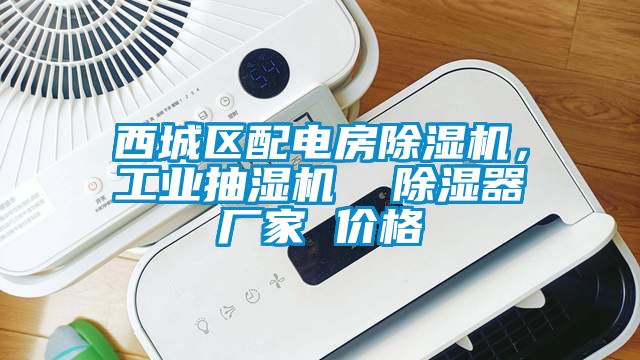 西城區配電房91视频链接下载，工業抽濕機  除濕器廠家 價格