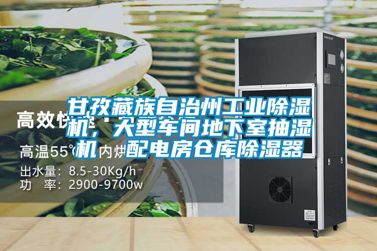 甘孜藏族自治州工業91视频链接下载，大型車間地下室抽濕機  配電房倉庫除濕器