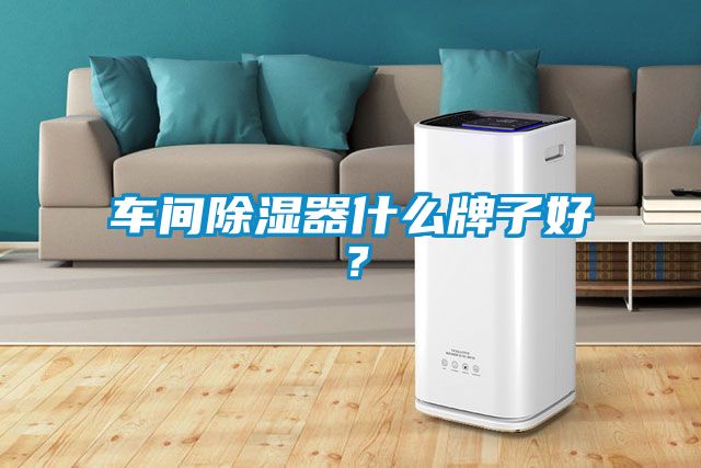 車間除濕器什麽牌子好？