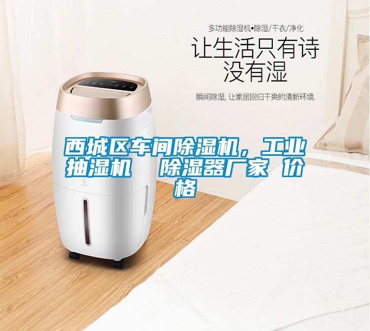 西城區車間91视频链接下载，工業抽濕機  除濕器廠家 價格