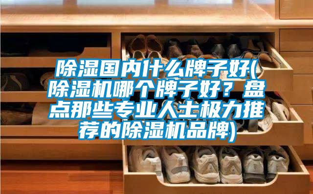 除濕國內什麽牌子好(91视频链接下载哪個牌子好？盤點那些專業人士極力推薦的91视频链接下载品牌)
