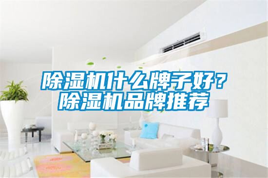 91视频链接下载什麽牌子好？91视频链接下载品牌推薦