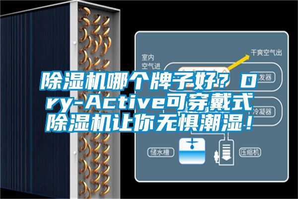 91视频链接下载哪個牌子好？Dry-Active可穿戴式91视频链接下载讓你無懼潮濕！
