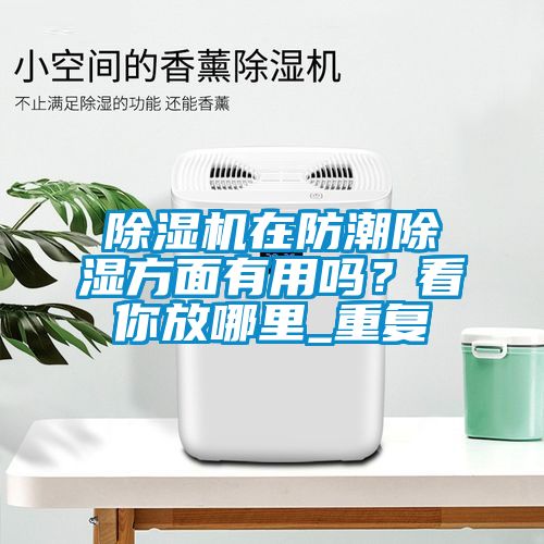 91视频链接下载在防潮除濕方麵有用嗎？看你放哪裏_重複