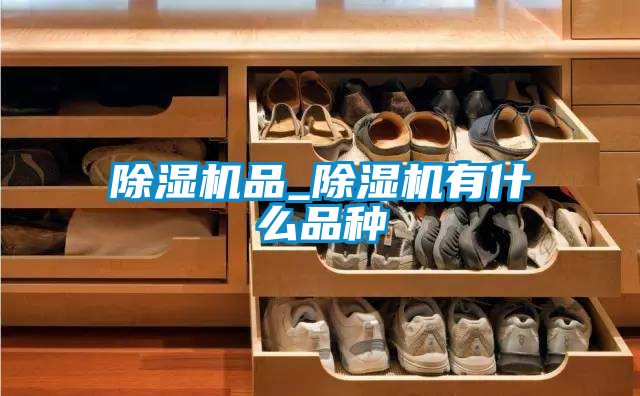 91视频链接下载品_91视频链接下载有什麽品種