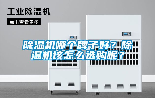 91视频链接下载哪個牌子好？91视频链接下载該怎麽選購呢？