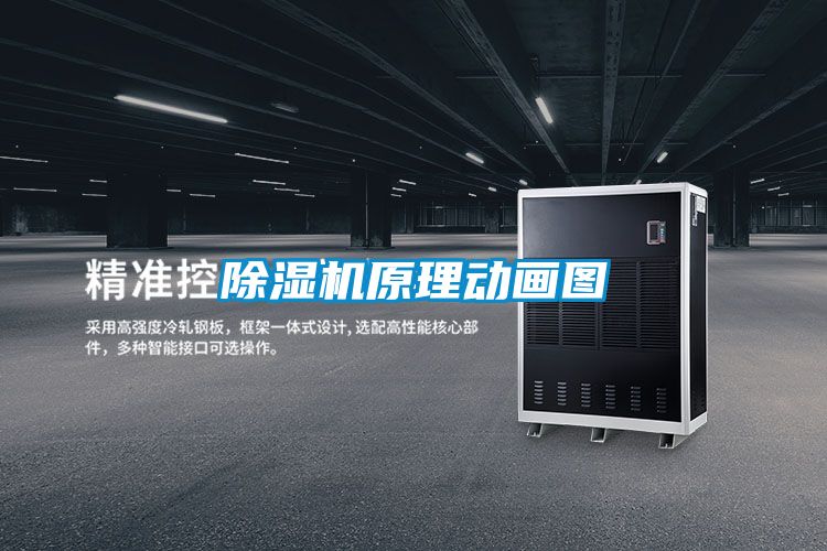 91视频链接下载原理動畫圖