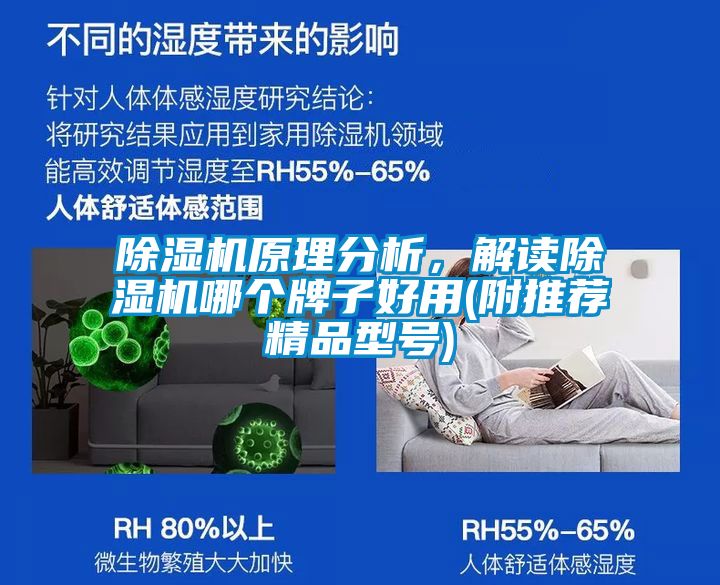 91视频链接下载原理分析，解讀91视频链接下载哪個牌子好用(附推薦精品型號)