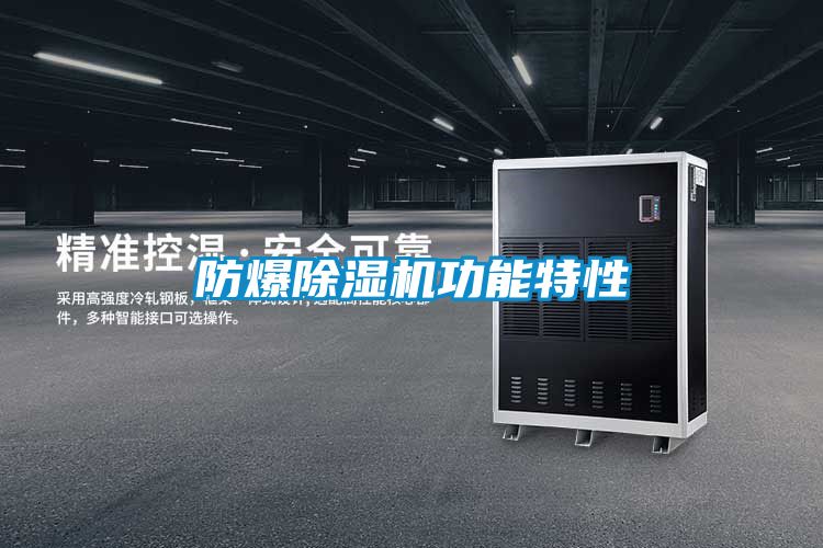 防爆91视频链接下载功能特性