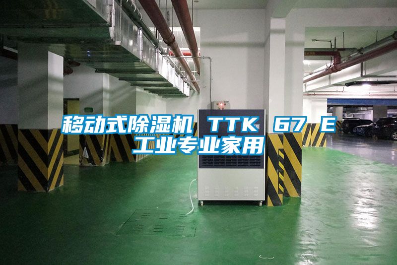 移動式91视频链接下载 TTK 67 E工業專業家用