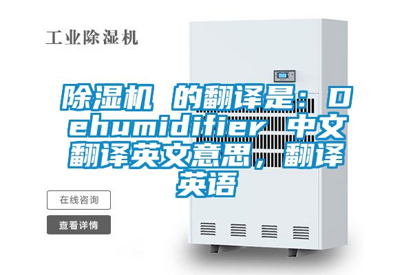 91视频链接下载 的翻譯是：Dehumidifier 中文翻譯英文意思，翻譯英語